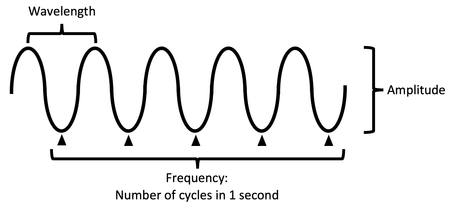 Introduction kidSONO